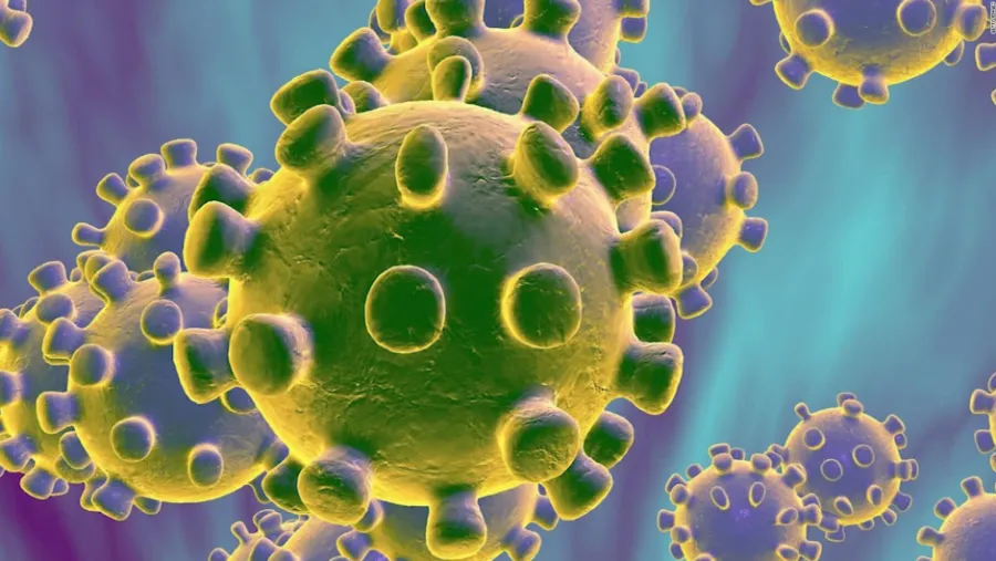 Coronavirus. Coronavirus.