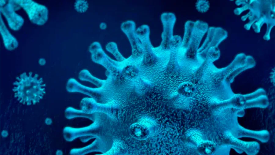 coronavirus célula 