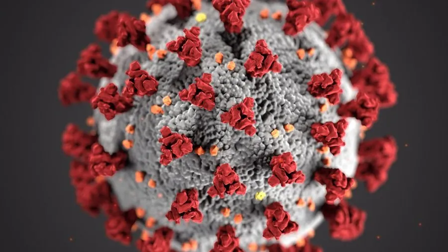 coronavirus