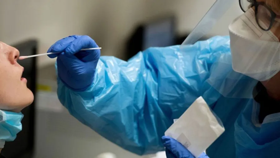 coronavirus coronavirus