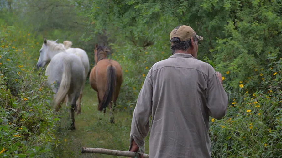 En la localidad de Paraná acompañan al programa la Fundación Eco Urbano y en Victoria la Asociación Civil Taller Flotante.