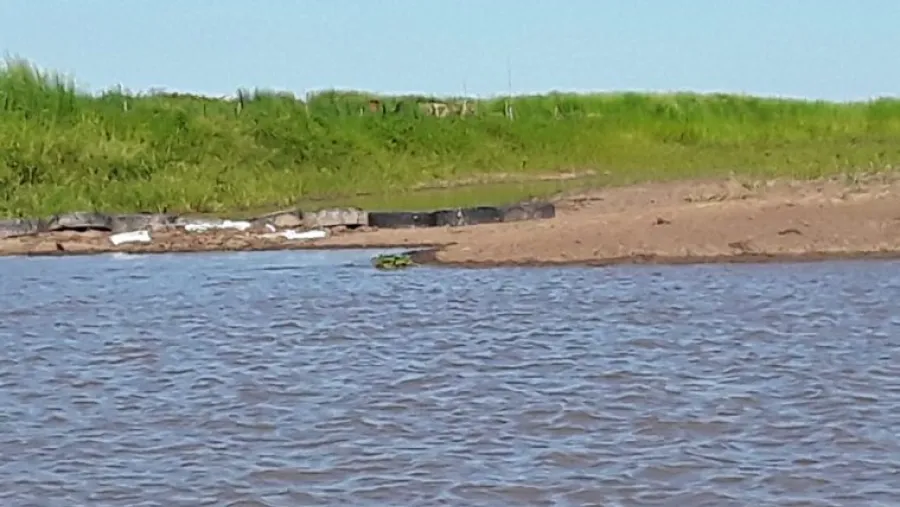 Denunciaron que taponaron con silo bolsas dos arroyos en el Delta Denunciaron que taponaron con silo bolsas dos arroyos en el Delta