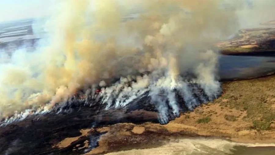 Organizaciones ambientalistas piden acceso a la información para conocer los datos catastrales de las islas del Delta del Paraná que atraviesa Entre Ríos. Por ahora, el Estado niega esa información.