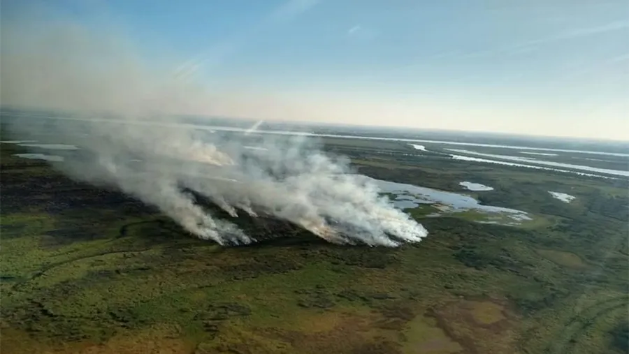 Los incendios en las islas del Delta del Paraná todavía están impunes y la Justicia Federal adeuda respuestas sobre esos hechos.