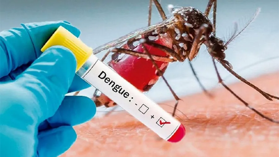 En Gualeguaychú se confirmaron cien casos contagiados de Dengue y aunque se avecina el frío como un aliado, hay preocupación en los profesionales de la Salud. En Gualeguaychú se confirmaron cien casos contagiados de Dengue y aunque se avecina el frío como un aliado, hay preocupación en los profesionales de la Salud.