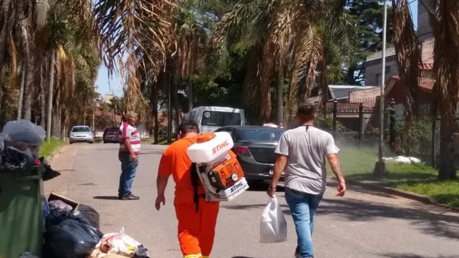 dengue bloque sanitario