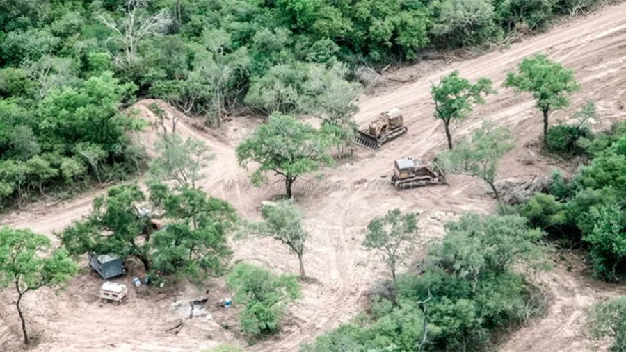 El desmonte en Salta es el más notorio, pero no el único.