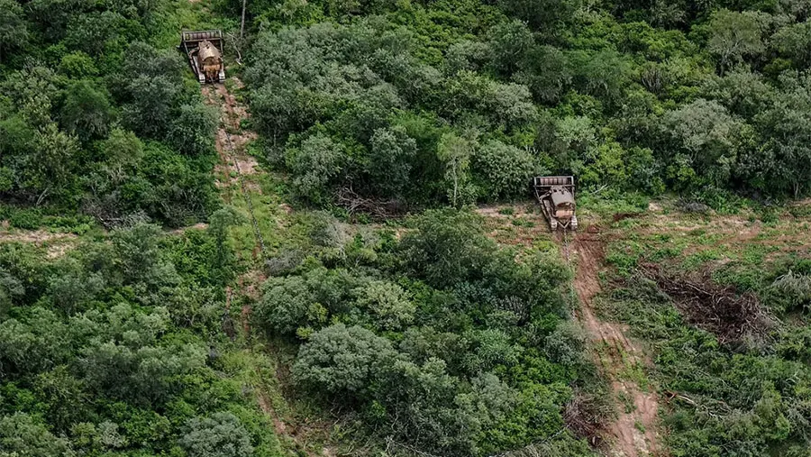 El financiamiento del Fondo Verde del Clima es porque el país logró -a partir de la implementación de ley de bosques- reducir el efecto invernadero y en algunos casos detener el desmonte nativo.