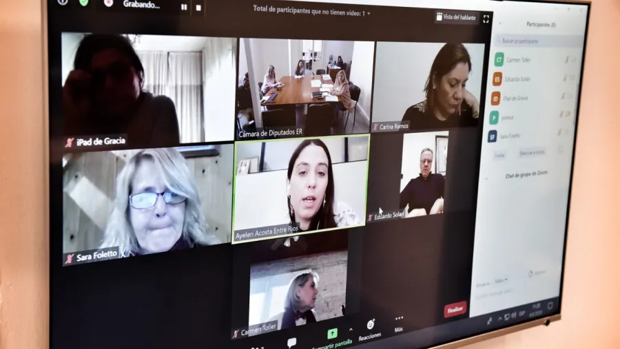 ESI y educación emocional, en la agenda de la comisión de Educación de Diputados