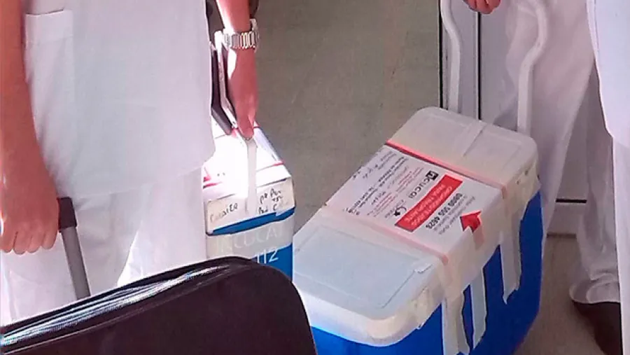 Se realizó el segundo operativo de ablación del fin de semana en Paraná Se realizó el segundo operativo de ablación del fin de semana en Paraná