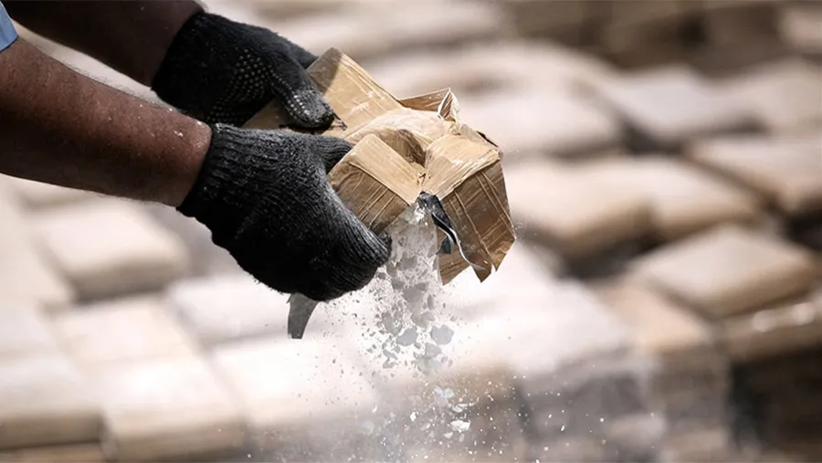 Si bien el narcotráfico se extiende en todo el país desde hace décadas, la fotografía que hoy tiene la Procuraduría de Narcocriminalidad (Procunar) muestra tres focos más calientes por el nivel de actividad localizada: Rosario, el Conurbano bonaerense y Misiones, por la frontera con Paraguay y Brasil. 