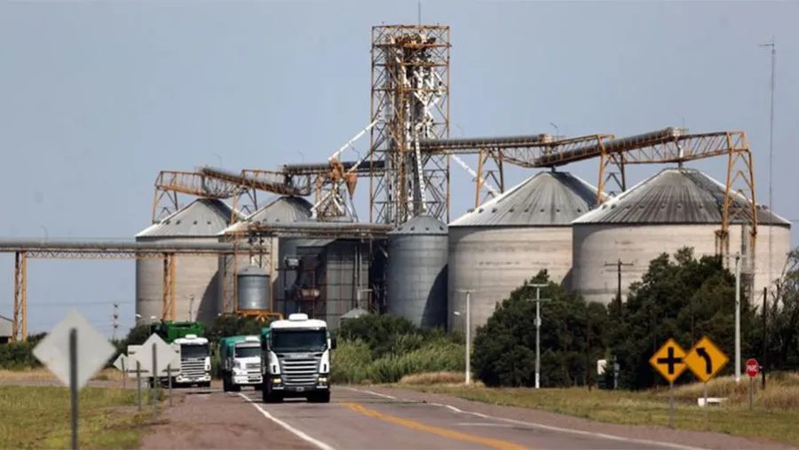 Camiones salen de un silo en Ceres, Provincia de Santa Fe. La región pampeana sería la más favorecida por una mayor movilidad y mejores precios de sus productos. Camiones salen de un silo en Ceres, Provincia de Santa Fe. La región pampeana sería la más favorecida por una mayor movilidad y mejores precios de sus productos.