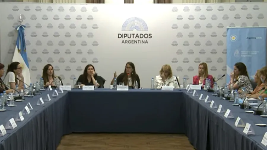 Iniciará en el Congreso la reforma de la Ley de Protección Integral de las Mujeres Iniciará en el Congreso la reforma de la Ley de Protección Integral de las Mujeres