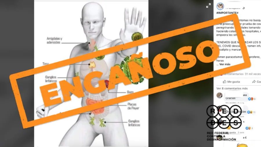 Las infusiones y nebulizaciones de distintas hierbas no curan el nuevo coronavirus Las infusiones y nebulizaciones de distintas hierbas no curan el nuevo coronavirus