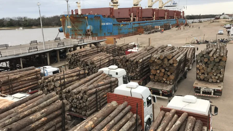 exportación