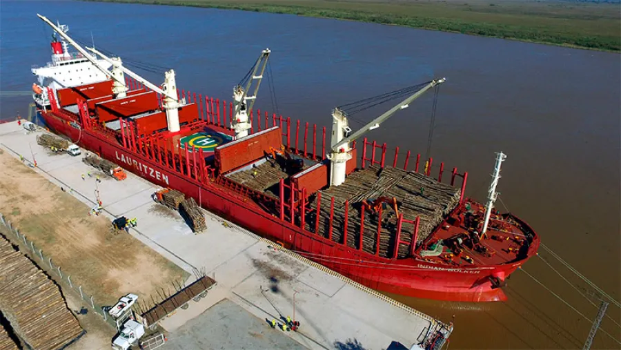 exportación de madera