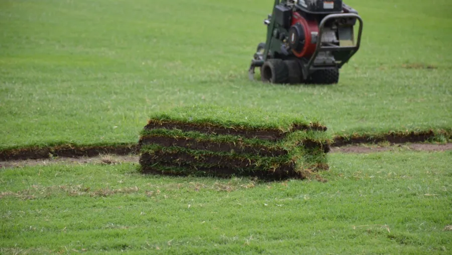 Copa Libertadores: Patronato trabaja en su campo de juego para jugar en el Grella