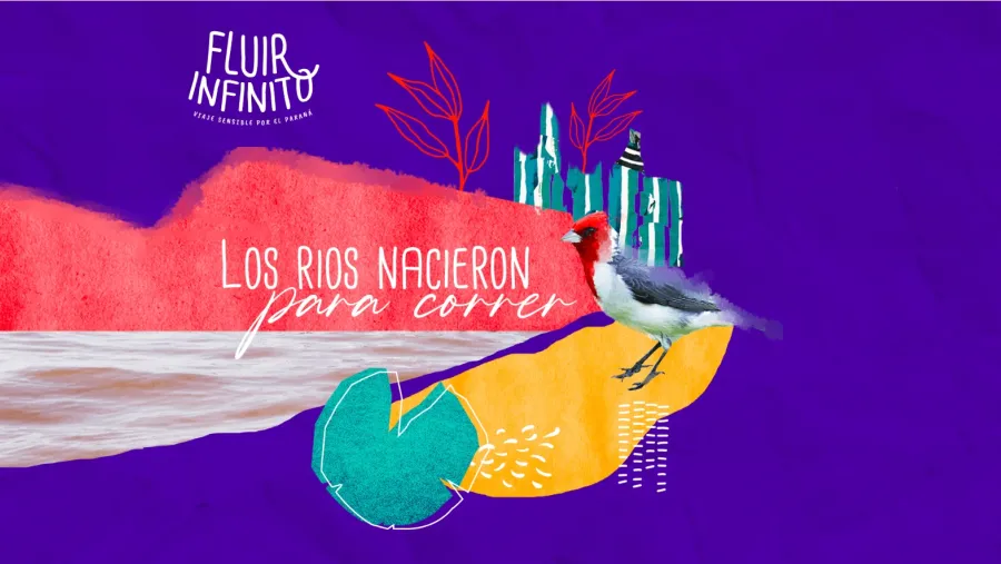 Fluir infinito Fluir infinito