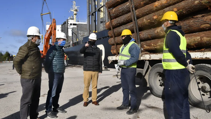 Reactivaron el sistema integrado de puertos con un estricto protocolo sanitario