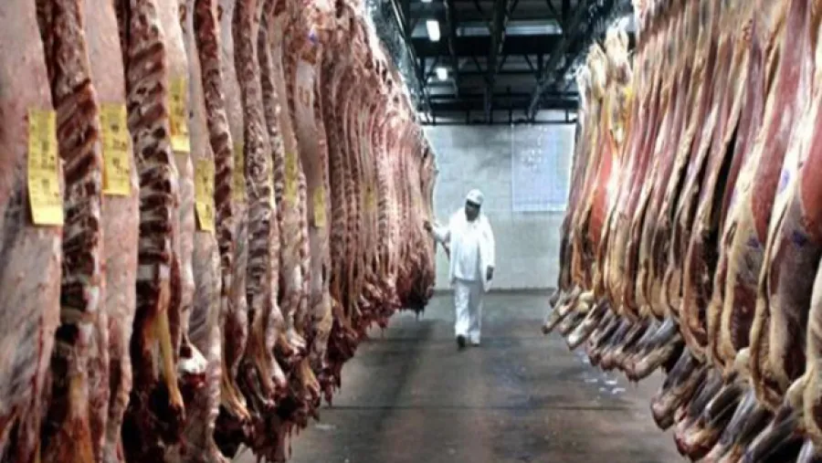 Mientras se desplomó el consumo interno, crecieron las exportaciones de carne Mientras se desplomó el consumo interno, crecieron las exportaciones de carne
