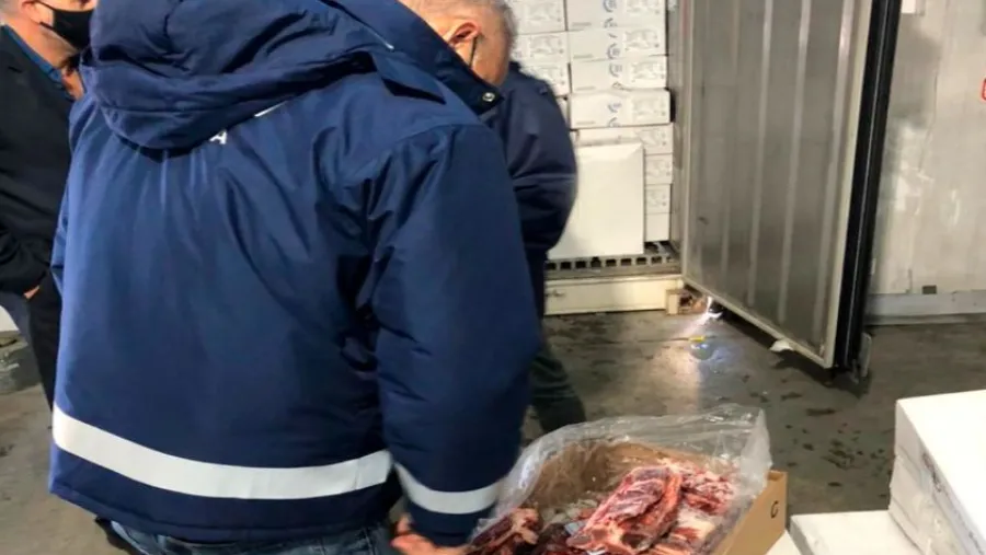 inspección frigorífico inspección frigorífico