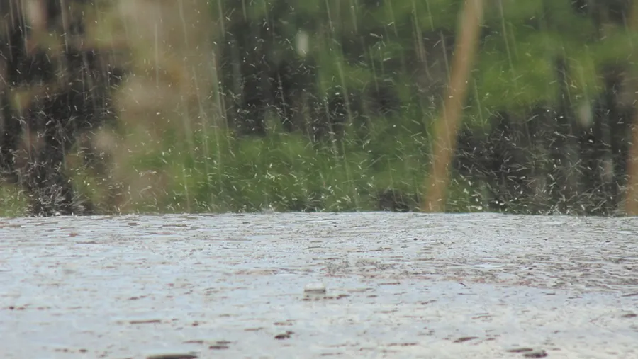 Lluvias Lluvias