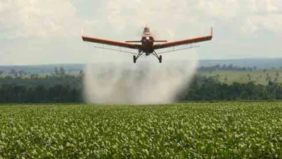 fumigación agrotóxicos