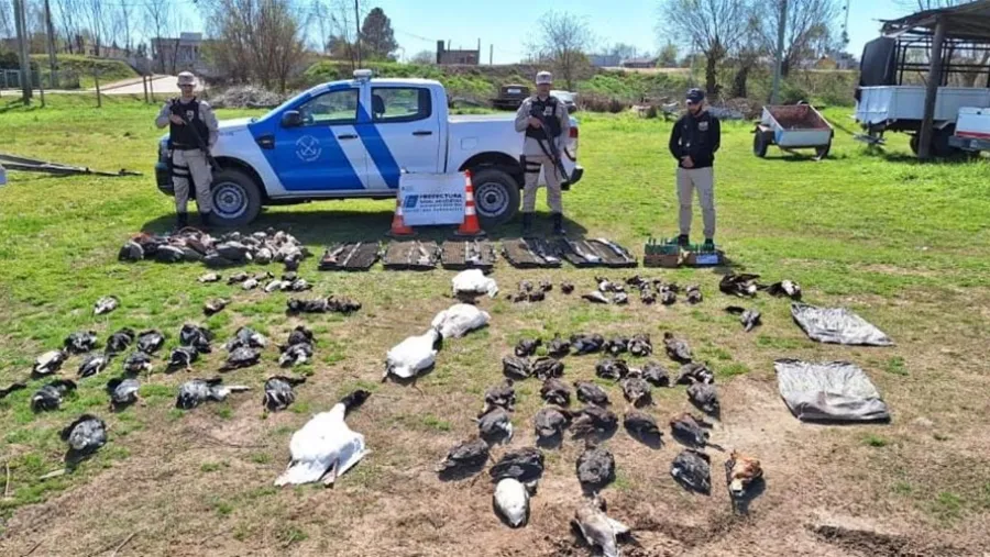 Las armas como las aves autóctonas fueron decomisadas por orden de la Justicia, pero los “cazadores” quedaron en libertad.