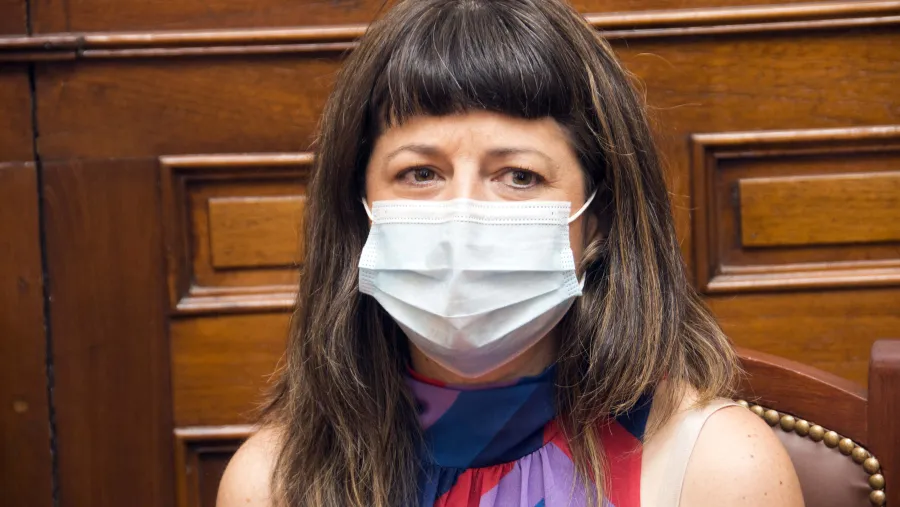 Gaillard propuso modificar la ley de drogas y despenalizar el consumo personal Gaillard propuso modificar la ley de drogas y despenalizar el consumo personal