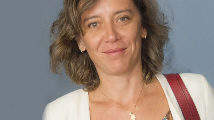 El STJ concedió el recurso extraordinario de Goyeneche para ir a la Corte