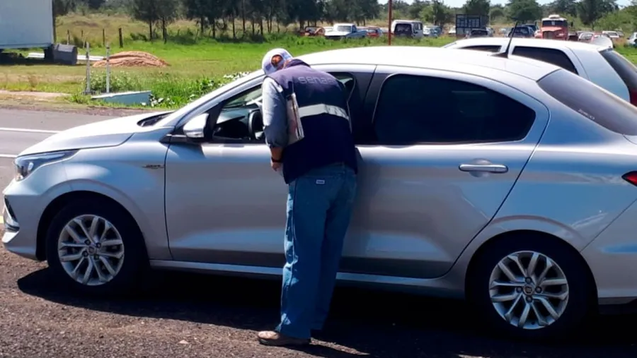 Concientizaron a turistas sobre el HLB, enfermedad que afecta a la citricultura