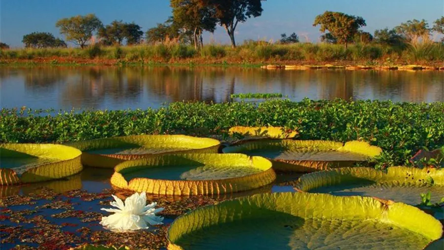 Conservar-usando. Pretenden que los humedales sean conservados y al mismo tiempo se aplique el uso sostenible para asegurar el mantenimiento de los servicios ecosistémicos que brindan.