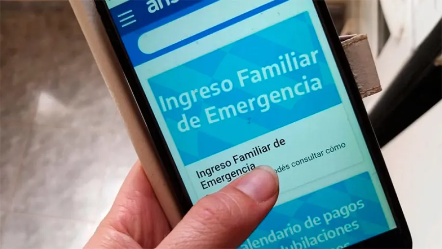 IFE tramitación