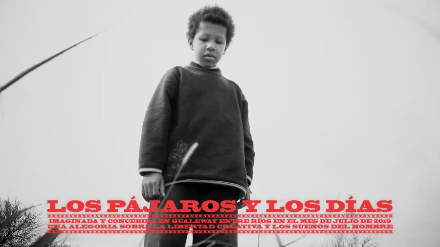 "El Bolsón, Artes Audiovisuales"