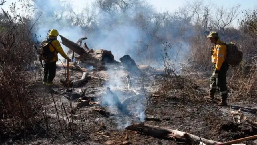 incendio forestal incendio forestal