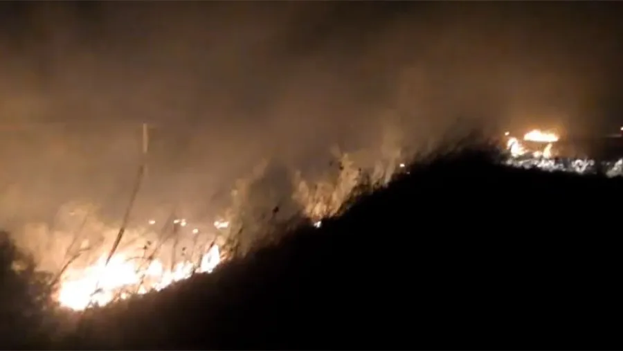 incendio campo Viale