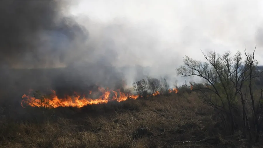 Los focos continúan activos en el Delta del Paraná.