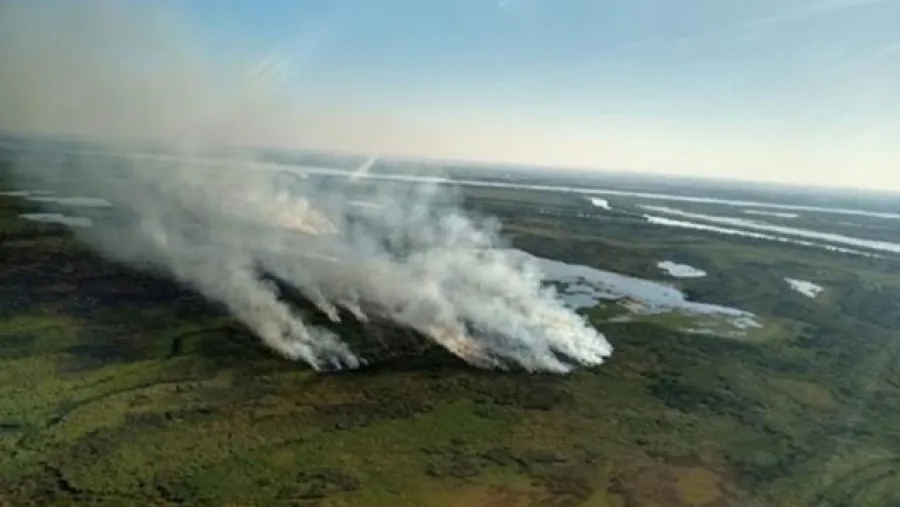 incendios islas de Ibicuy incendios islas de Ibicuy