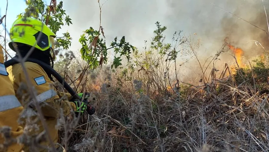 El intendente Bahl pidió a los vecinos “no quemar pastizales ni basura”