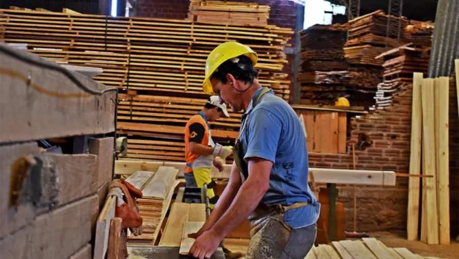 En 2021 la actividad industrial creció un 15,8% y la construcción un 30,8% En 2021 la actividad industrial creció un 15,8% y la construcción un 30,8%