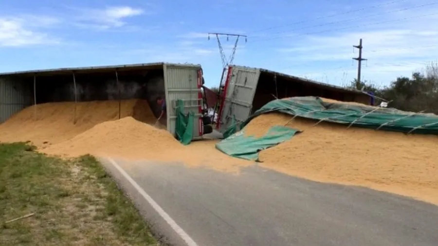 Volcó un camión que transportaba cáscaras de arroz y provocó una larga fila de vehículos Volcó un camión que transportaba cáscaras de arroz y provocó una larga fila de vehículos
