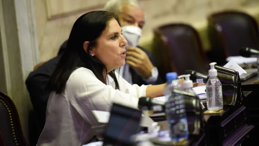diputada nacional Gabriela Lena diputada nacional Gabriela Lena