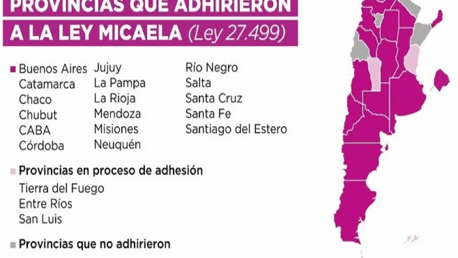ley Micaela