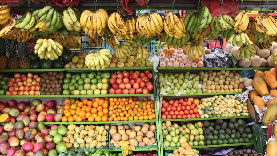 La secretaria de Comercio Interior Paula Español anunció que trabaja en la implementación del Mercado Federal Ambulante.