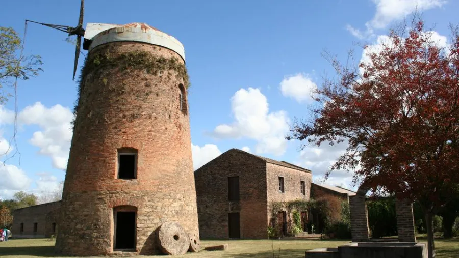 Museo Museo