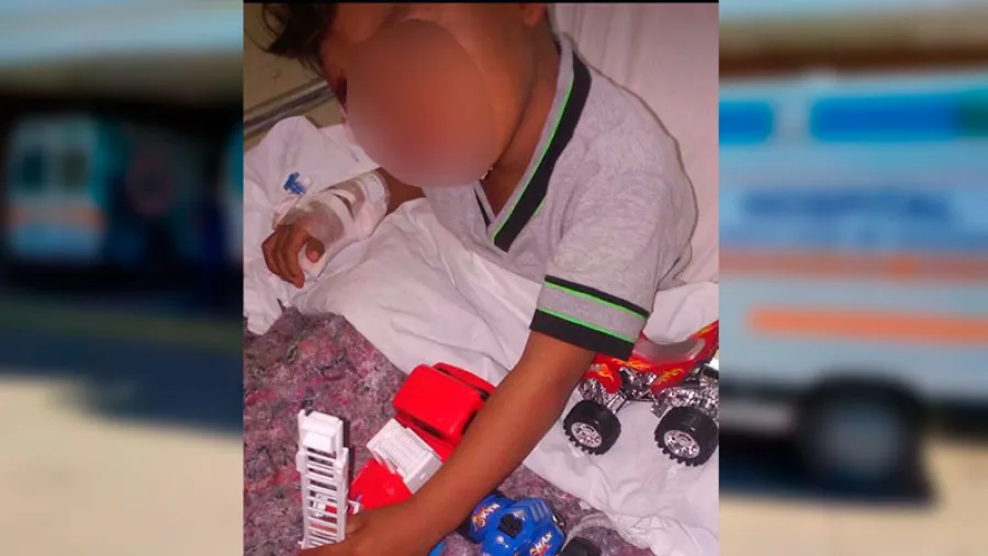 nene mordido por un perro