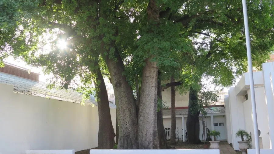 Relámpago de Verano 