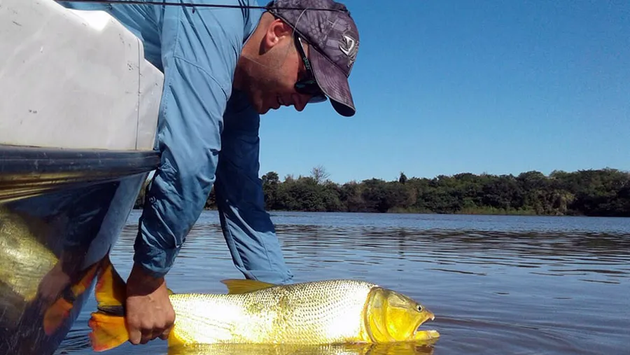 Hasta el 31 de diciembre rige el período de veda para la pesca de dorados en la provincia. Hasta el 31 de diciembre rige el período de veda para la pesca de dorados en la provincia.