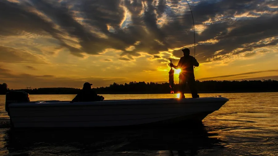 pesca 