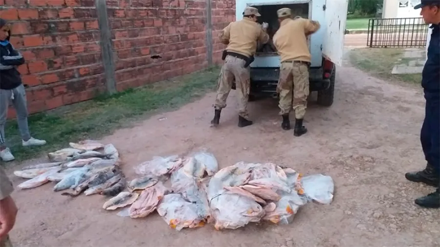 pescado incautado pescado incautado